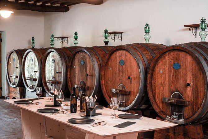 Lucca: Wine Tasting Experience - Tenuta Adamo Winery - The tasting: four wines, olive oil, and focaccia