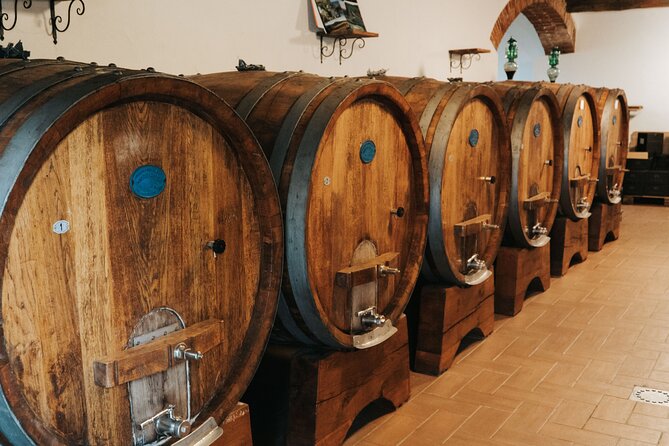 Lucca: Wine Tasting Experience - Tenuta Adamo Winery - The terrace is the real highlight