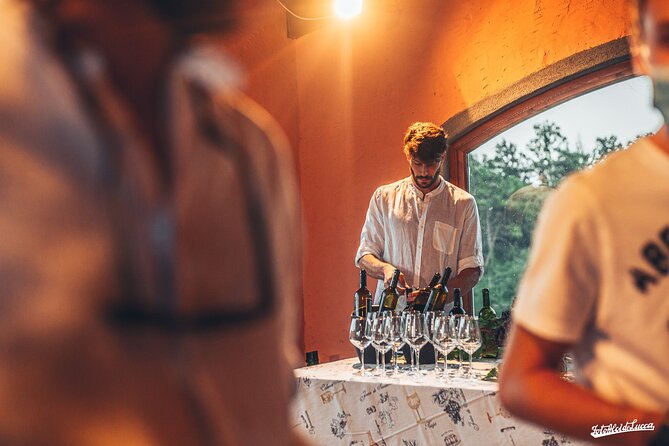 Lucca: Wine Tasting Experience - Tenuta Adamo Winery - Price and overall value