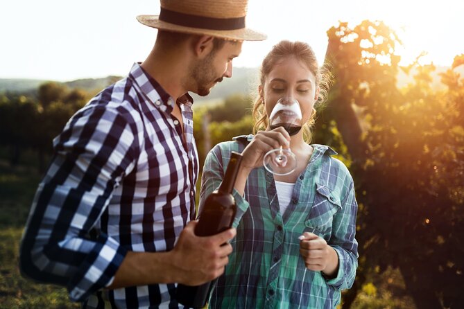 Luxury Hunter Valley Wildlife & Wine Tasting Tour from Sydney - The minibus makes a long day easier