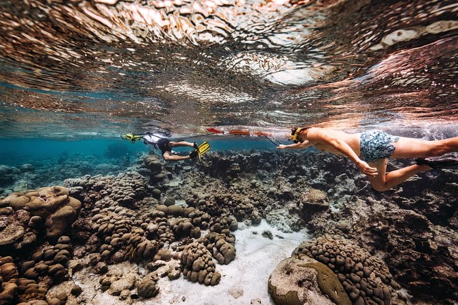 Luxury Lagoon Cruise with Onboard Chef and Signature Cocktails - The rope swing and the activity level