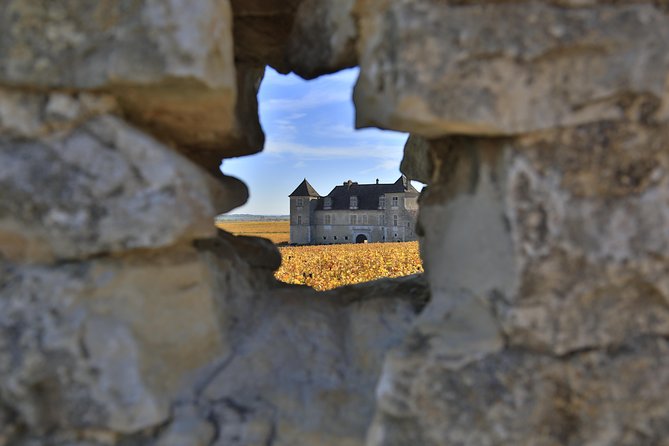 Luxury Luxury Wine Tour Experience - Château du Clos de Vougeot and the famous vineyard names
