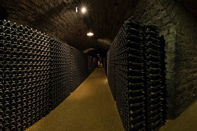 Luxury Luxury Wine Tour Experience - Three estates, three ways to make Burgundy