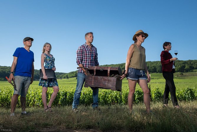 Luxury Luxury Wine Tour Experience - Learning vineyard work, terroir, and vinification