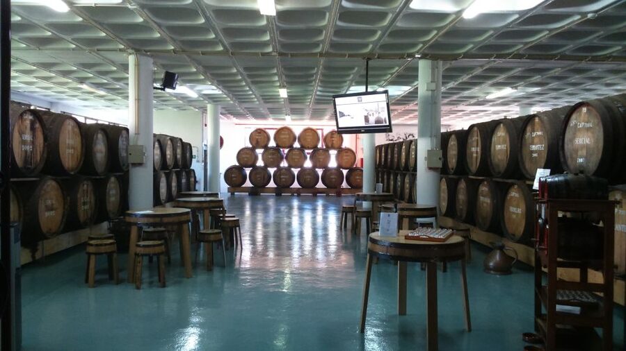 Madeira: Cabo Girao, Jeep Tour Adventure and Wine Tasting - Cabo Girão’s 580-meter sea cliff