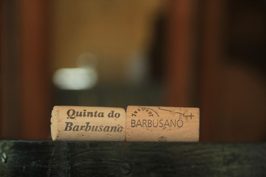 Madeira: Wine & Tapas, Cabo Girão Skywalk 4x4 Jeep Adventure - What the guides add to the day