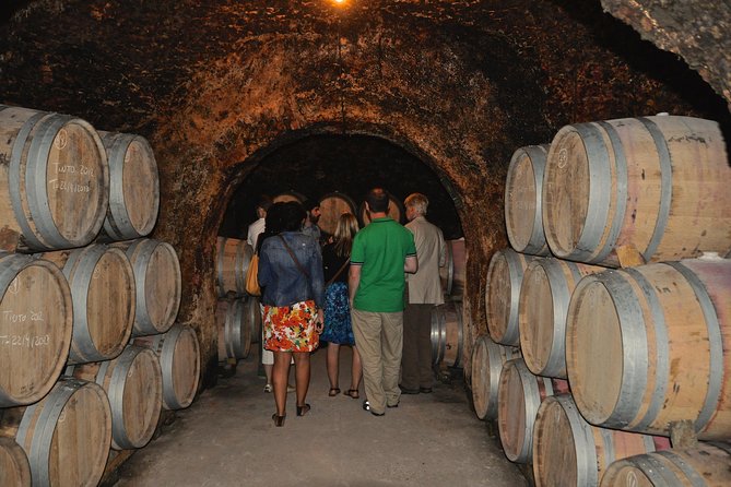 Madrid Countryside Wineries Guided Tour with Wine Tasting - Is $175.35 a fair price?