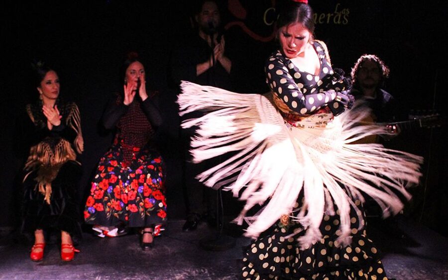 Madrid: Flamenco Show with Tapas and Wine Tour - Mushrooms, padrón peppers, and a glass of wine