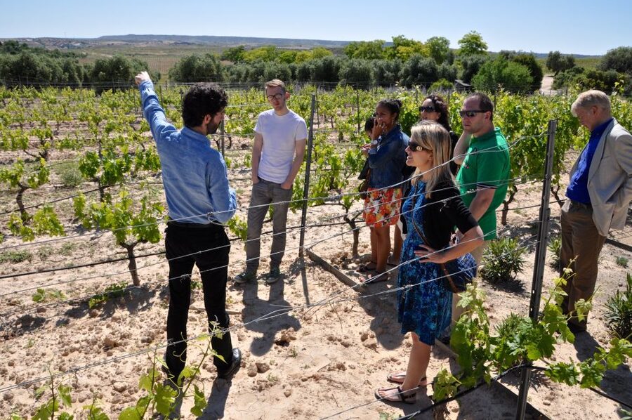 Madrid Region Wineries Guided Tour with Wine Tastings - Why Madrid’s wine country is worth your time