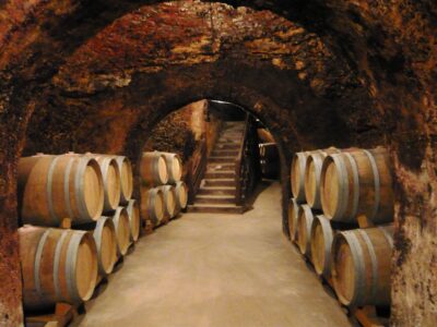 Madrid Region Wineries Guided Tour with Wine Tastings