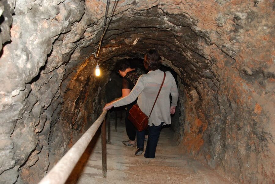 Madrid Region Wineries Guided Tour with Wine Tastings - Transport, timing, and the $171 price