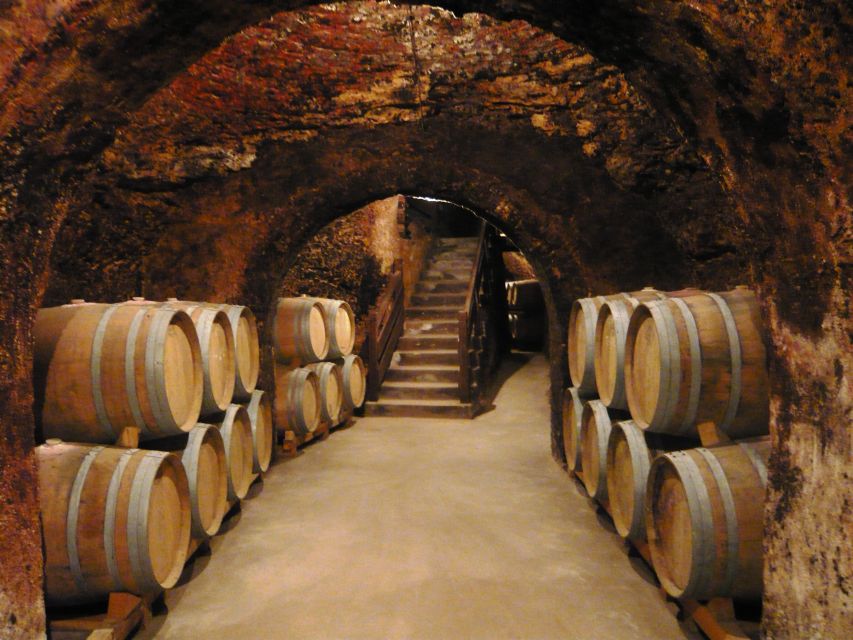 Madrid Region Wineries Guided Tour with Wine Tastings - Meeting the coach at Conde de Casal