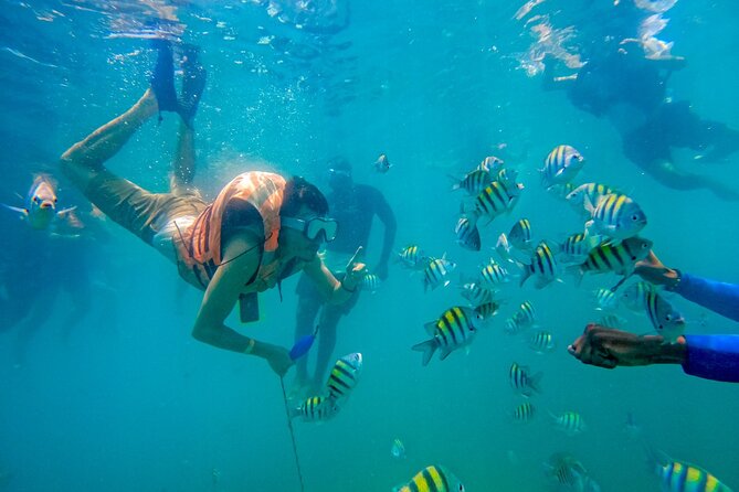 Magical Full-Day Tour Through The Mangroves And The Beach In Isla de Barú - Playa Tranquila and the Mambo Beach Club