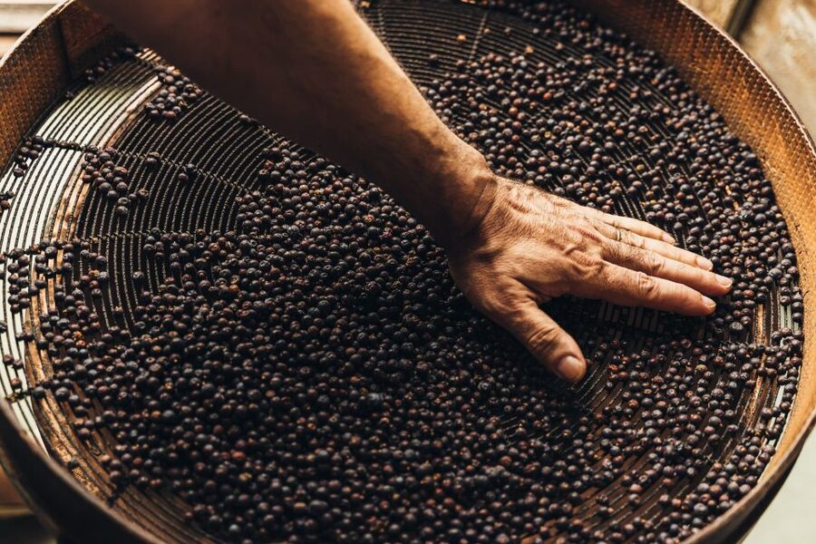 Mahón: Gin Distillery Tour with Tasting & Appetizers - Why Menorca has a gin tradition