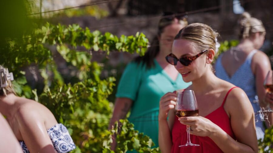 Malaga: Organic Vineyard Tour with 6 Wines, Tapas & Transfer - Key points at a glance