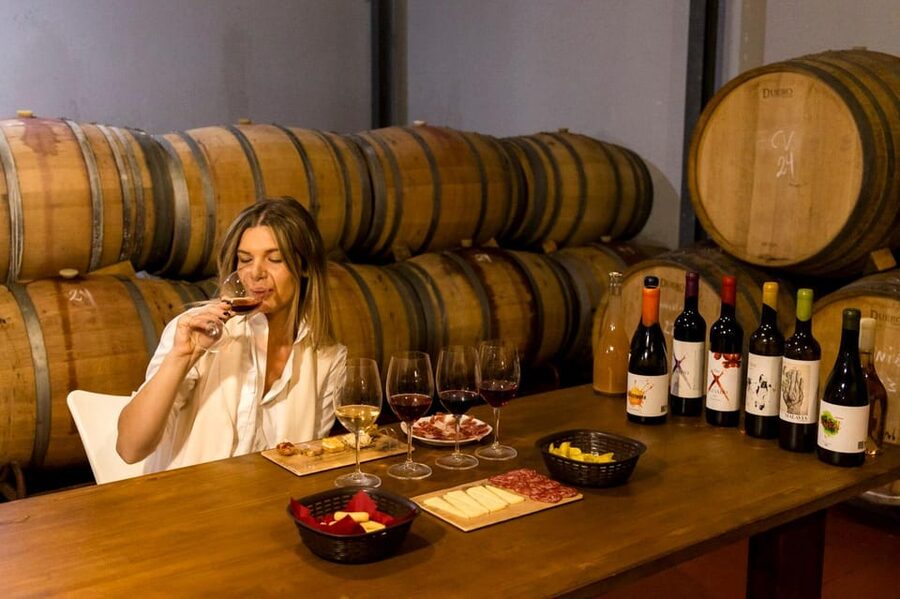 Malaga: Organic Vineyard Tour with 6 Wines, Tapas & Transfer - Leaving Málaga for the hills