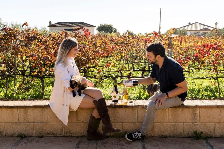 Malaga: Organic Vineyard Tour with 6 Wines, Tapas & Transfer - Antonio’s garage winery in Fuengirola