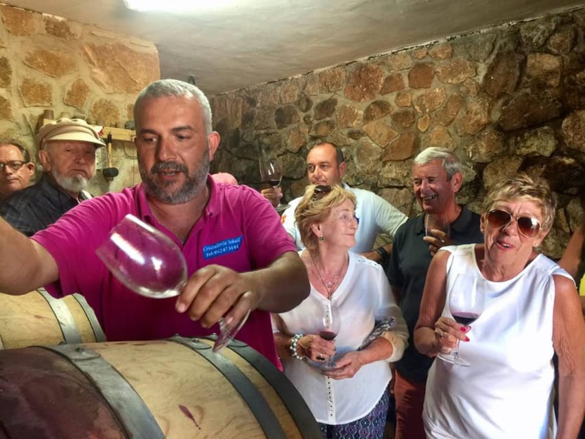 Malaga: Organic Vineyard Tour with 6 Wines, Tapas & Transfer - Six wines, plus the barrel sample