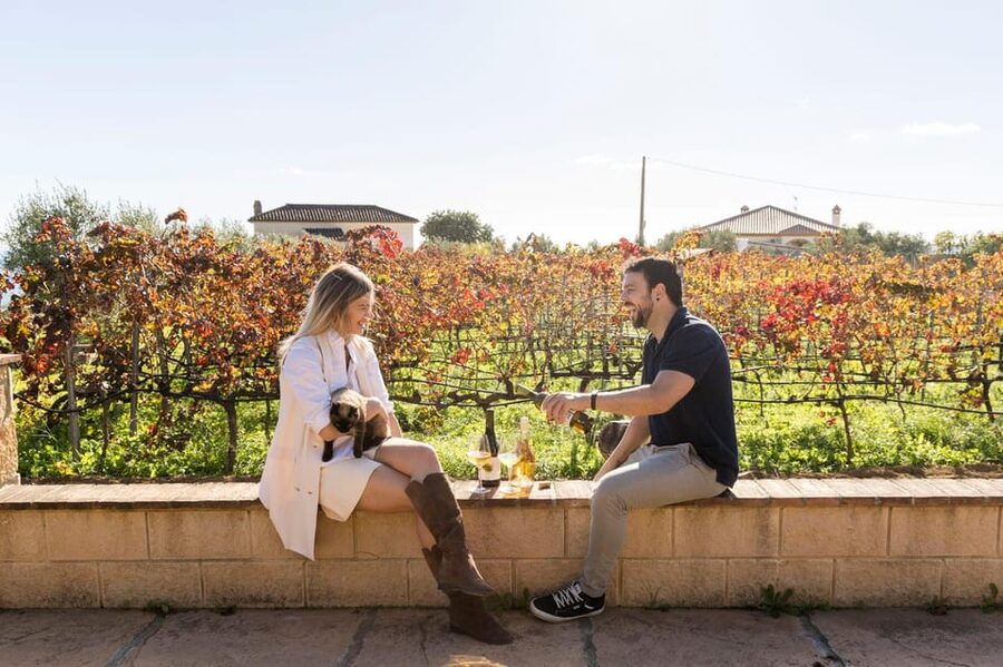 Malaga: Organic Vineyard Tour with 6 Wines, Tapas & Transfer - The guides and the small-group feel