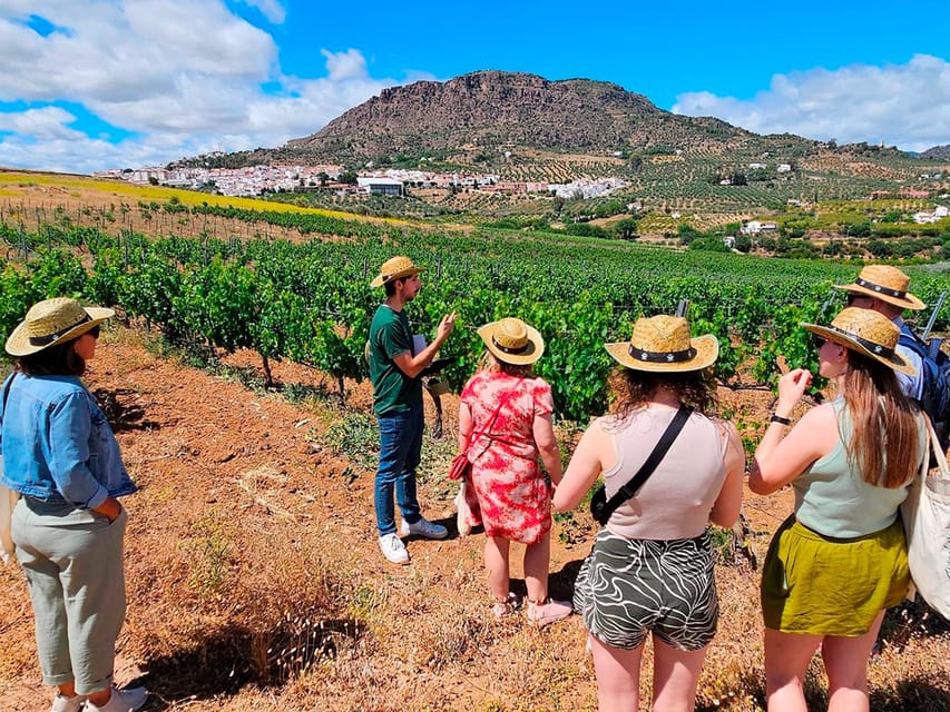 Malaga: White Village, Vineyard, and Wine Tasting Wine Tour - Walking Álora with Ramón