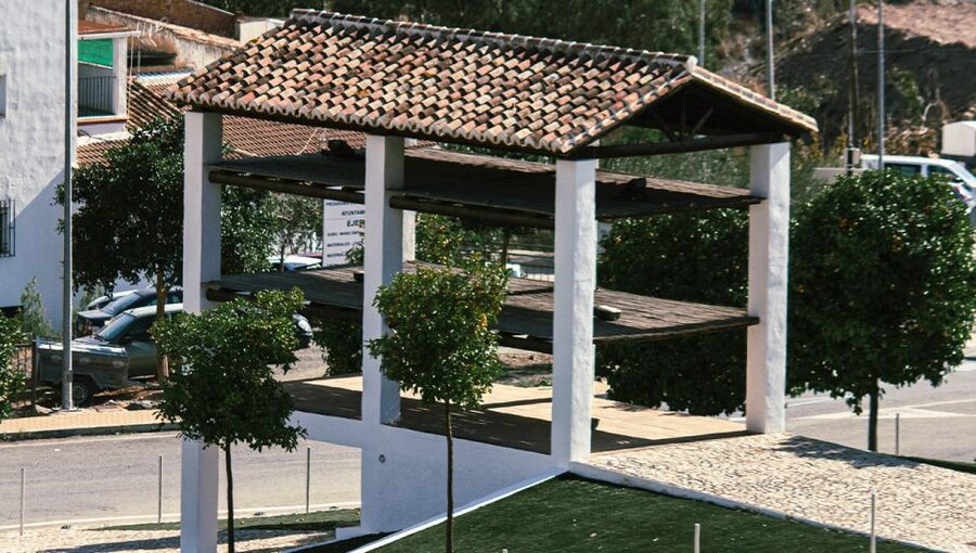 Malaga: White Village, Vineyard, and Wine Tasting Wine Tour - A countryside stop for views and grape growing