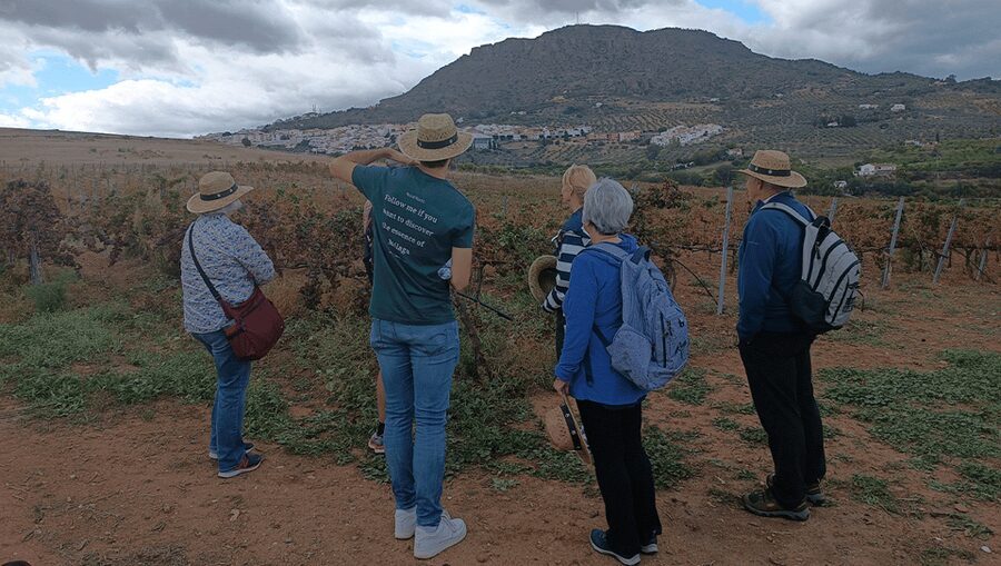 Malaga: White Village, Vineyard, and Wine Tasting Wine Tour - What the $106 price includes