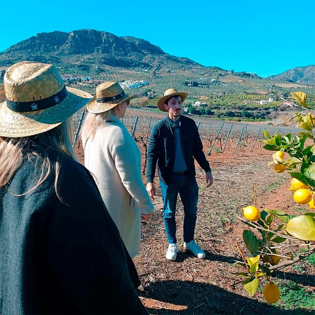 Malaga: White Village, Vineyard, and Wine Tasting Wine Tour - Useful details for a smoother day