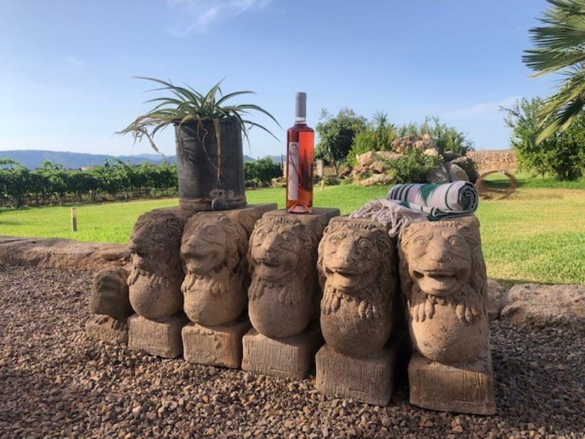 Mallorca: Bodega Butxet Vineyards & Winery Tour with Tasting - Key points to know before booking