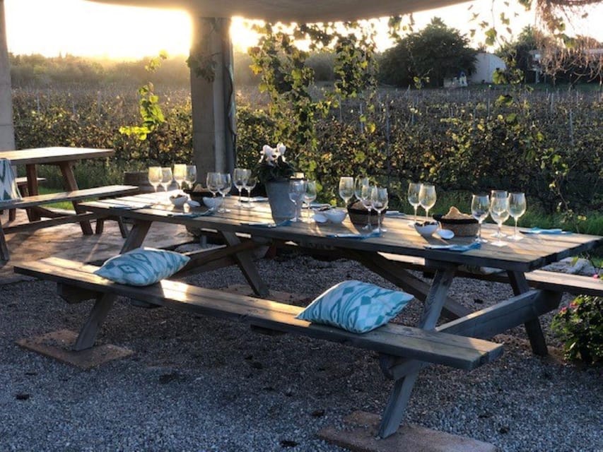 Mallorca: Bodega Butxet Vineyards & Winery Tour with Tasting - How the two-hour schedule fits your day
