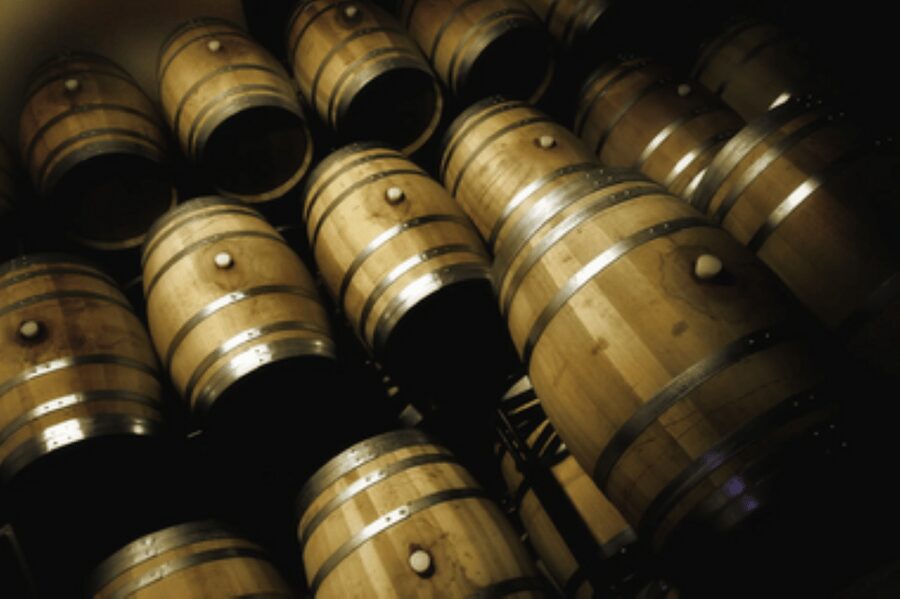 Mallorca: Bodega Butxet Vineyards & Winery Tour with Tasting - The vineyard walk takes you outdoors first