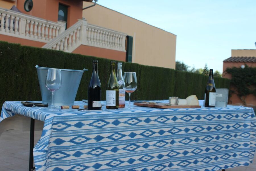 Mallorca: Horseback Riding Excursion and Wine Tasting - Key points to know before booking