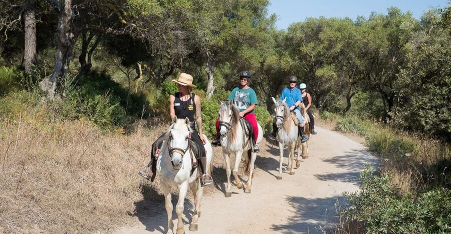 Mallorca: Horseback Riding Excursion and Wine Tasting - A Mallorca outing with two very different halves
