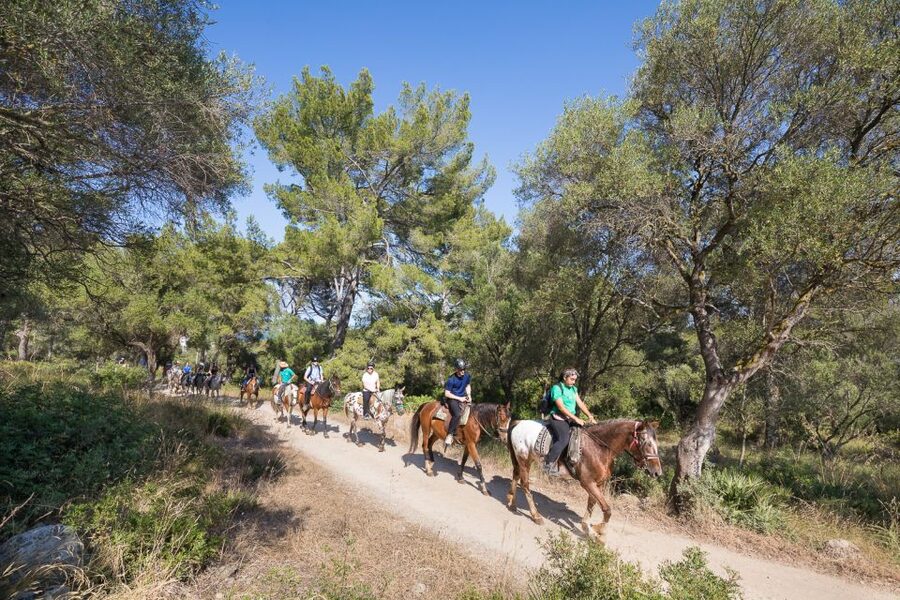 Mallorca: Horseback Riding Excursion and Wine Tasting - Riding through the Puig de Sant Martí
