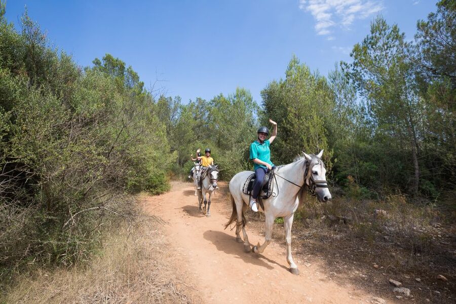 Mallorca: Horseback Riding Excursion and Wine Tasting - Local products beyond wine and cheese