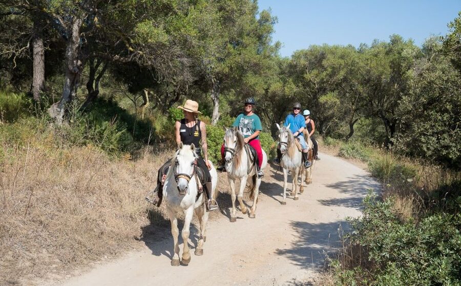 Mallorca: Horseback Riding Excursion and Wine Tasting - Arriving at Ranxo Ses Roques near Alcudia