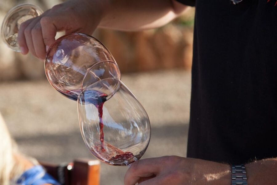 Mallorca: Private Wine Tour with Tasting and Picnic - Key points to know before booking