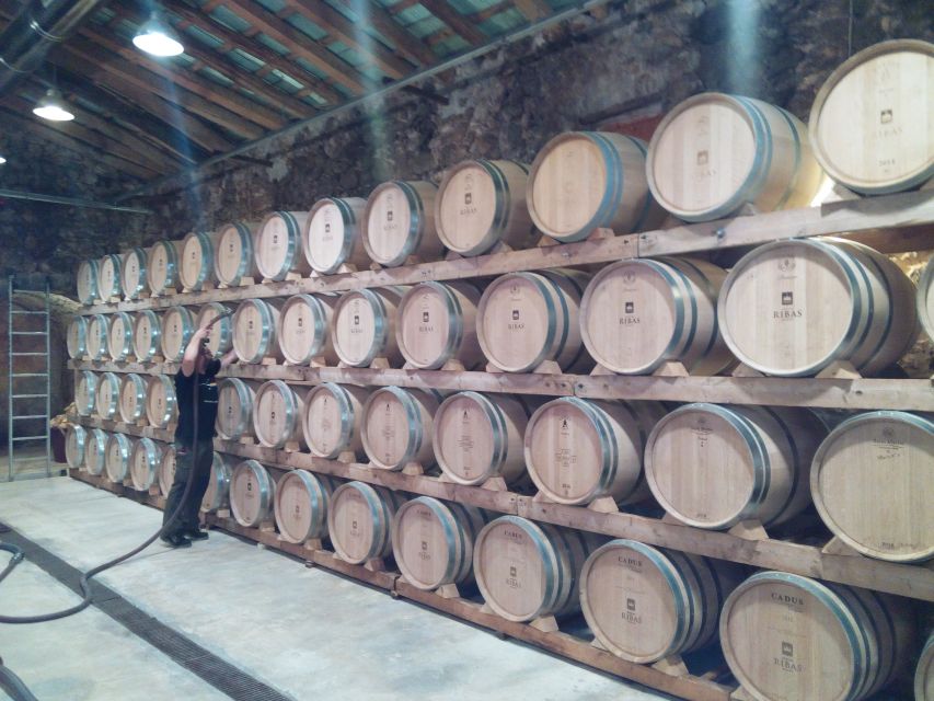 Mallorca: Private Wine Tour with Tasting and Picnic - Tasting Mallorcan wines with tapas