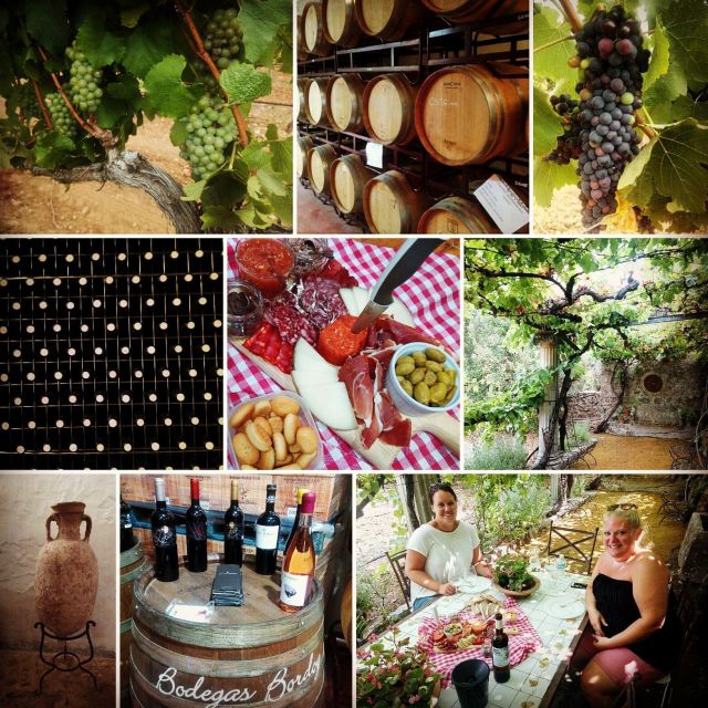 Mallorca: Private Wine Tour with Tasting and Picnic - Who will get the most from this outing