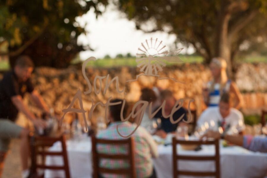 Mallorca: Private Wine Tour with Tasting and Picnic - Cancellation, languages, and practical limits