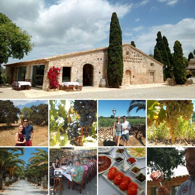 Mallorca: Private Wine Tour with Tasting and Picnic - Walking through the vineyard