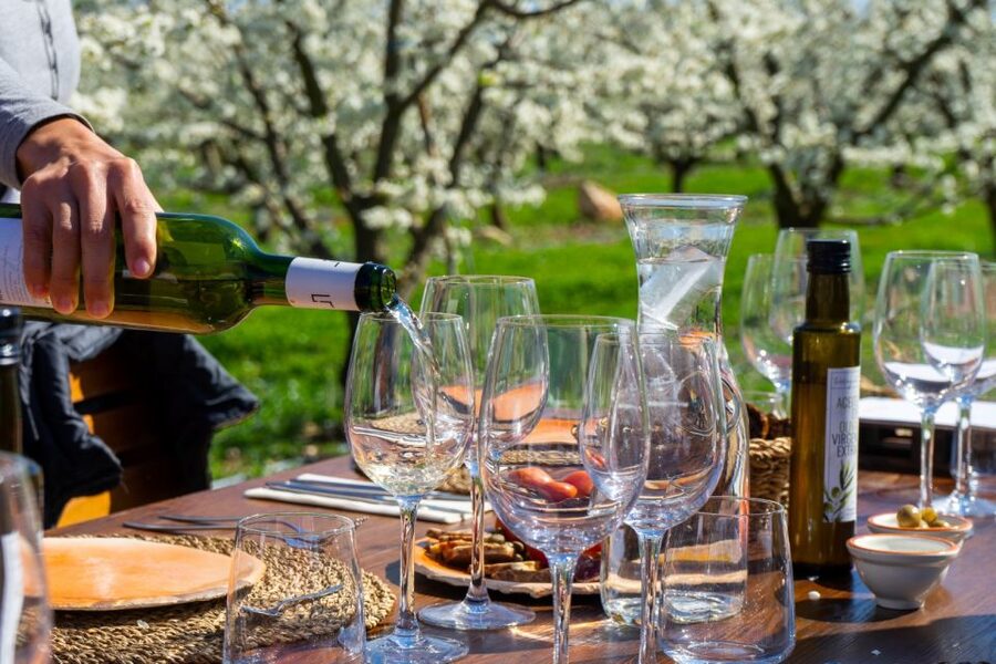 Mallorcas Emblematic Wineries Small Group Tour, two wineries - Why Mallorca’s central wine country is worth your time