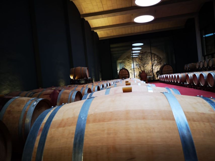 Mallorcas Emblematic Wineries Small Group Tour, two wineries - Santa Maria del Camí: the first winery sets the tone