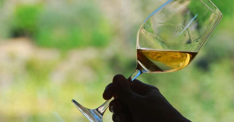 Manarola: Cinque Terre Wine Tasting - Key points to know before booking