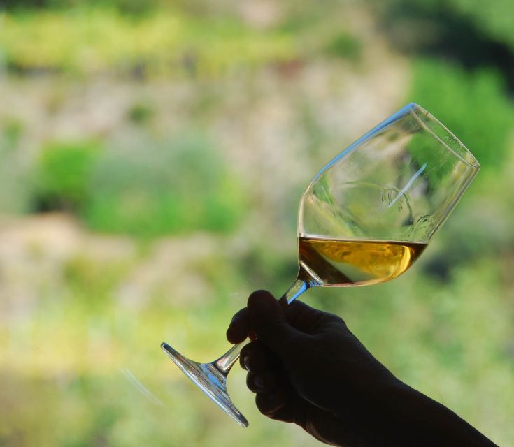 Manarola: Cinque Terre Wine Tasting - Three Cinque Terre wines in one short sitting