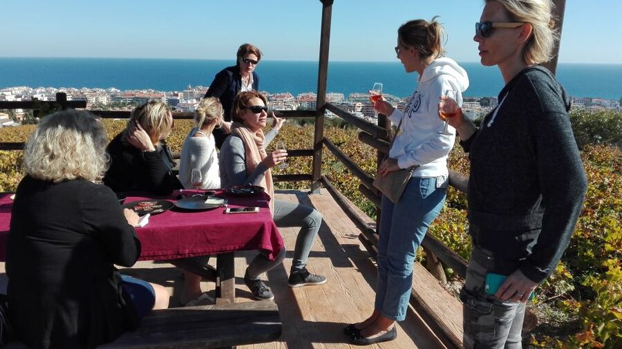 Manilva: Nilva Vineyard, Wine Tasting & Tapas Guided Tour - Inside the small Nilva winery