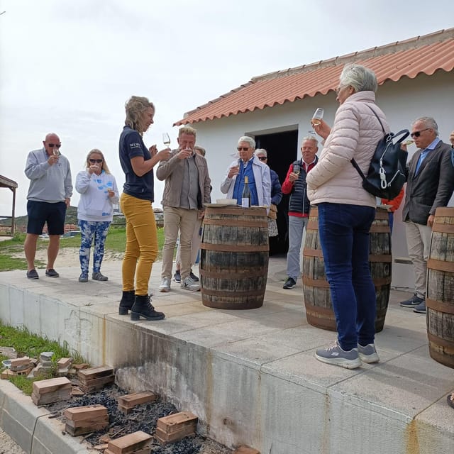 Manilva: Nilva Vineyard, Wine Tasting & Tapas Guided Tour - What the $35 price includes
