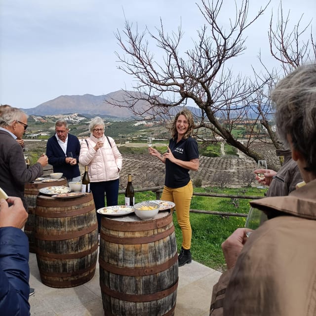 Manilva: Nilva Vineyard, Wine Tasting & Tapas Guided Tour - Who will enjoy this tour most
