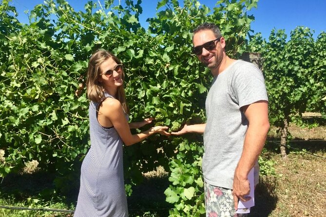 Margaret River Beer & Wine Adventure (departs Dunsborough/Busselton) - Small groups make the social side work