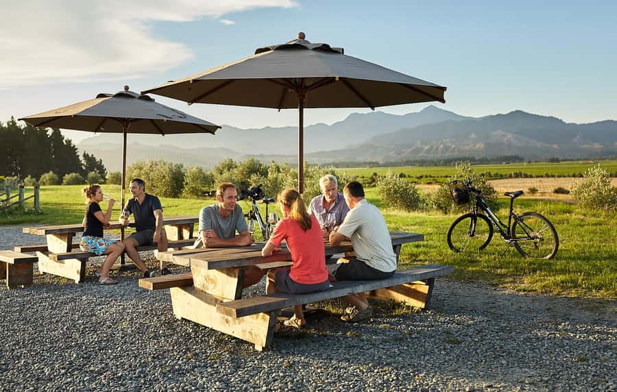 Marlborough: Full-Day Self-Guided Biking Wine Tour - Starting at Vines Village with a useful local briefing