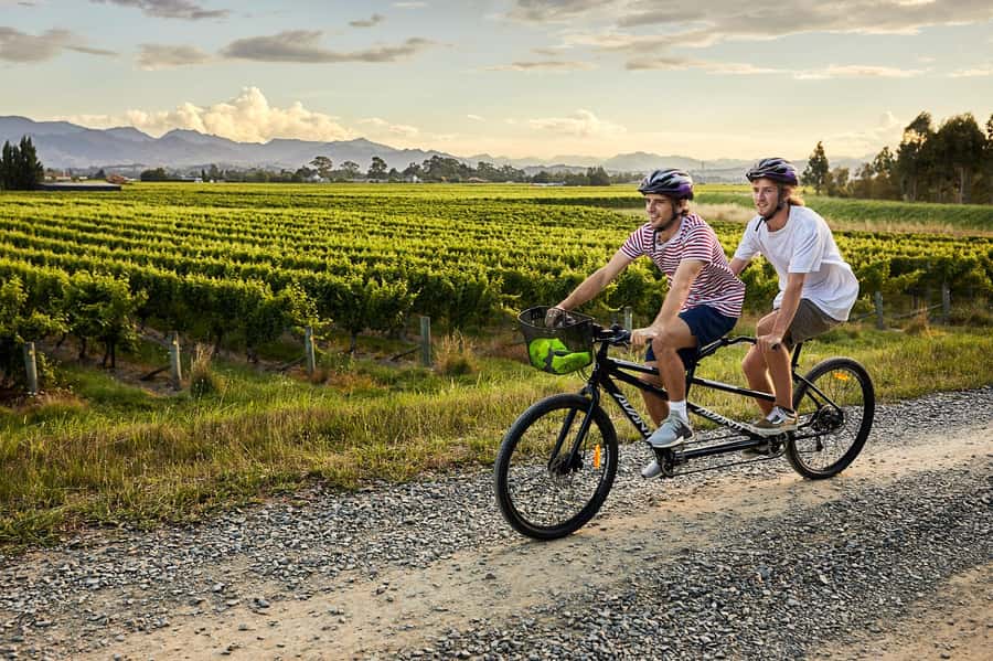 Marlborough: Full-Day Self-Guided Biking Wine Tour - Planning a route among 12 nearby wineries